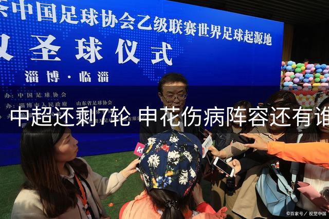 中超还剩7轮 申花伤病阵容还有谁能复出 至少盖伊是不可能了