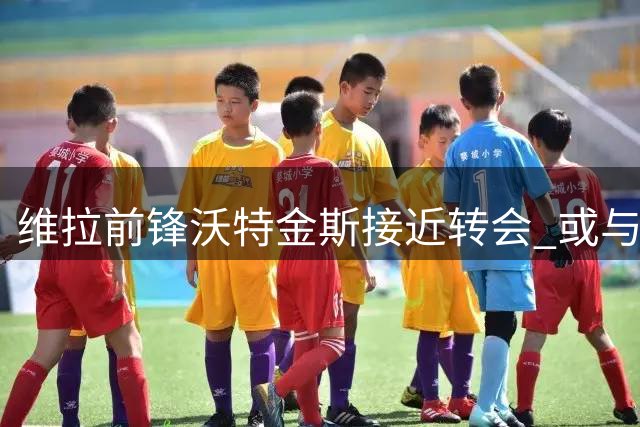 维拉前锋沃特金斯接近转会 或与沙特豪门签三年长约